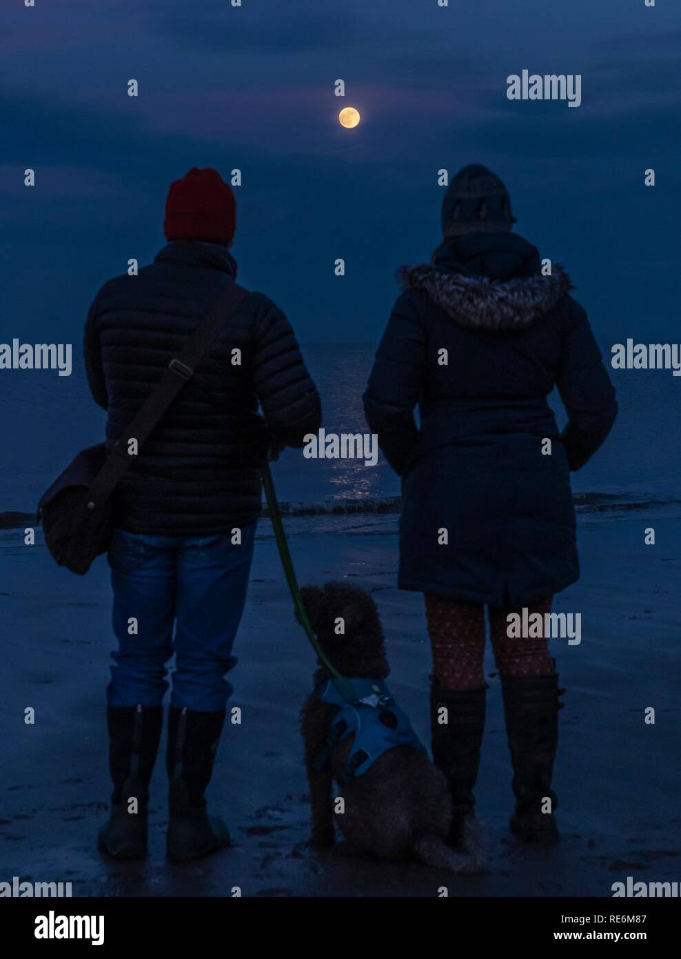 Edinburgh, Großbritannien. Jan, 2019 20. Ein Paar und ihr Hund den Blick in das Blut Wolf Mond über dem Strand an der Portobello in der Nähe von Edinburgh. In den frühen Stunden des Morgens, der Mond wird Rot wie Großbritannien Erfahrungen der letzten Mondfinsternis für 10 Jahre. Credit: Rich Dyson/Alamy leben Nachrichten Stockfoto