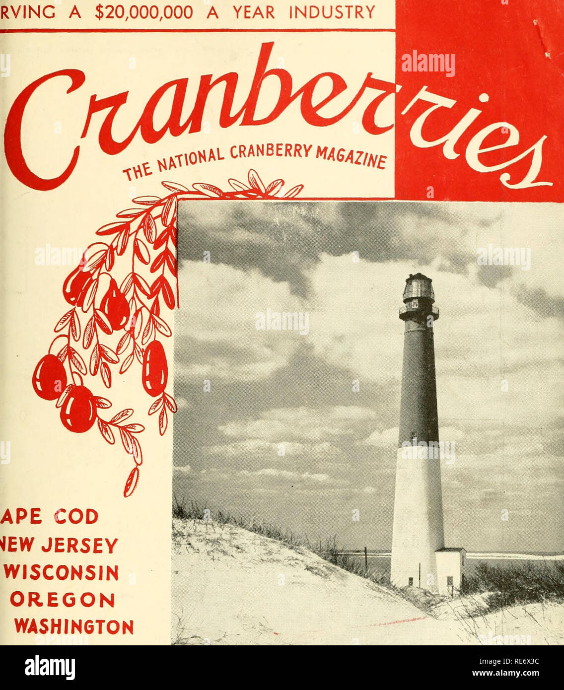 . Preiselbeeren;: die nationalen cranberry Magazin. Preiselbeeren. RVINC ein $ 20.000.000 PRO JAHR INDUSTRIE. APE COD^ EW JERSEY WISCONSIN OREGON WASHINGTON. Bitte beachten Sie, dass diese Bilder sind von der gescannten Seite Bilder, die digital für die Lesbarkeit verbessert haben mögen - Färbung und Aussehen dieser Abbildungen können nicht perfekt dem Original ähneln. extrahiert. Portland, CT [etc. ]: Taylor Pub. Co [etc. ] Stockfoto