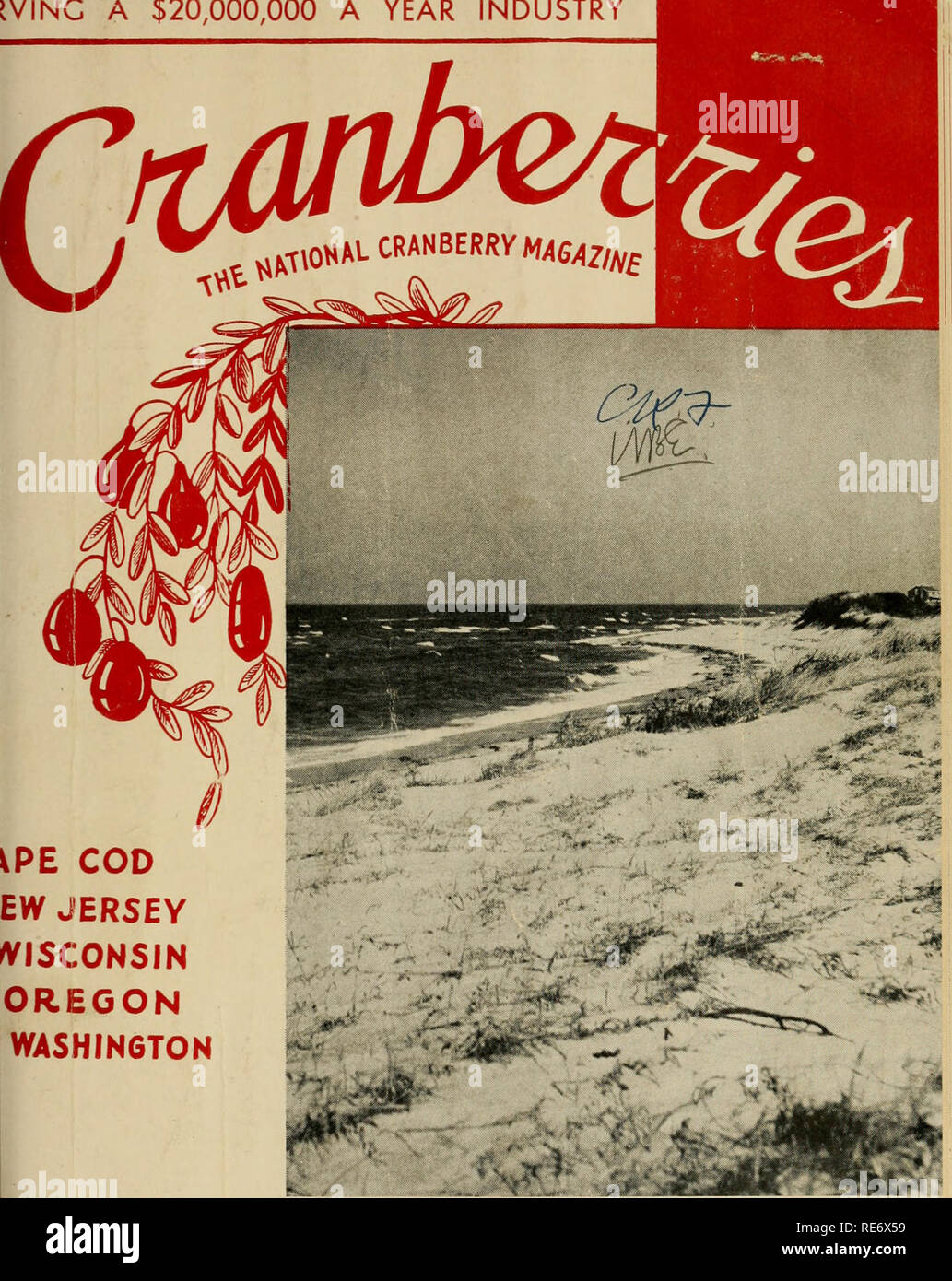 . Preiselbeeren;: die nationalen cranberry Magazin. Preiselbeeren. iVINC ein $ 20.000.000 PRO JAHR INDUSTRIE. VPE COD EW JERSEY WISCONSIN OREGON WASHINGTON, in dem die Wellen und der weiße Strand Sand auf dem Dennis Ufer in der Nähe, wo Henry Hal! Die erste Moosbeere-sumpf. Geschichte (Seite 7) (CRANBERRIES phi. zu 30 Cent Februar, 1949. Bitte beachten Sie, dass diese Bilder sind von der gescannten Seite Bilder, die digital für die Lesbarkeit verbessert haben mögen - Färbung und Aussehen dieser Abbildungen können nicht perfekt dem Original ähneln. extrahiert. Portland, CT [etc. ]: Taylor Pub. Co [etc. ] Stockfoto