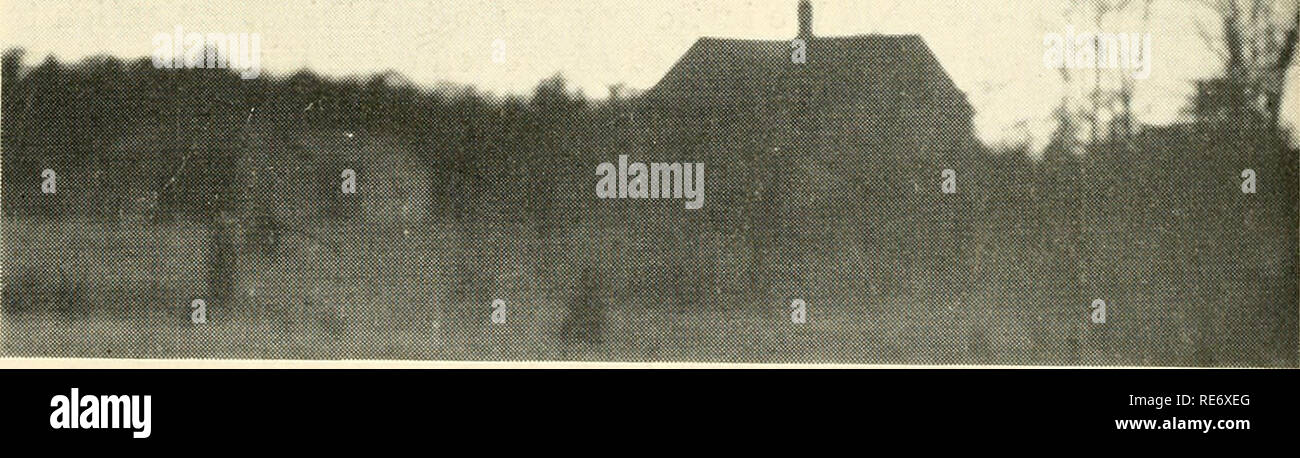 . Preiselbeeren;: die nationalen cranberry Magazin. Preiselbeeren. APE COD &Lt;EW JERSEY WISCONSIN OREGON WASHINGTON. März Sonnenuntergang über alte Cape Cod. (CRANBERRIES Foto) 30 Cent März, 1950. Bitte beachten Sie, dass diese Bilder sind von der gescannten Seite Bilder, die digital für die Lesbarkeit verbessert haben mögen - Färbung und Aussehen dieser Abbildungen können nicht perfekt dem Original ähneln. extrahiert. Portland, CT [etc. ]: Taylor Pub. Co [etc. ] Stockfoto