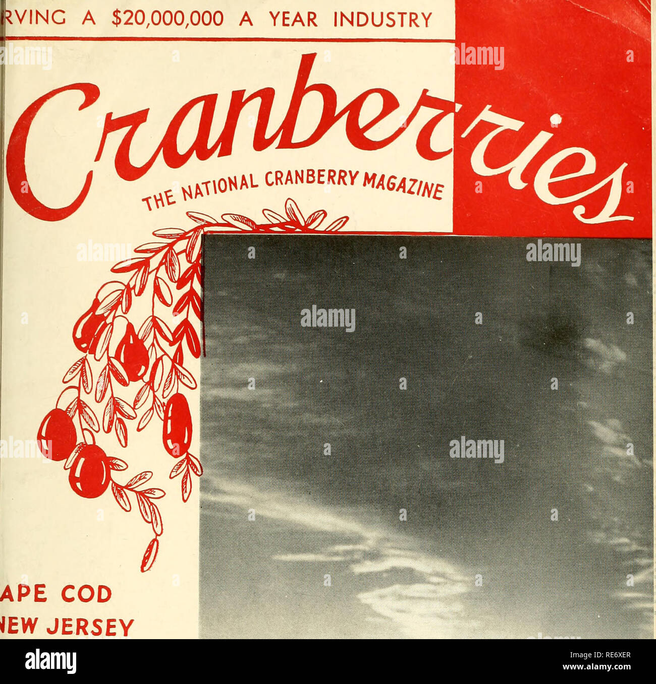 . Preiselbeeren;: die nationalen cranberry Magazin. Preiselbeeren. IVINC ein $ 20.000.000 PRO JAHR INDUSTRIE. APE COD &Lt;EW JERSEY WISCONSIN OREGON WASHINGTON. Bitte beachten Sie, dass diese Bilder sind von der gescannten Seite Bilder, die digital für die Lesbarkeit verbessert haben mögen - Färbung und Aussehen dieser Abbildungen können nicht perfekt dem Original ähneln. extrahiert. Portland, CT [etc. ]: Taylor Pub. Co [etc. ] Stockfoto