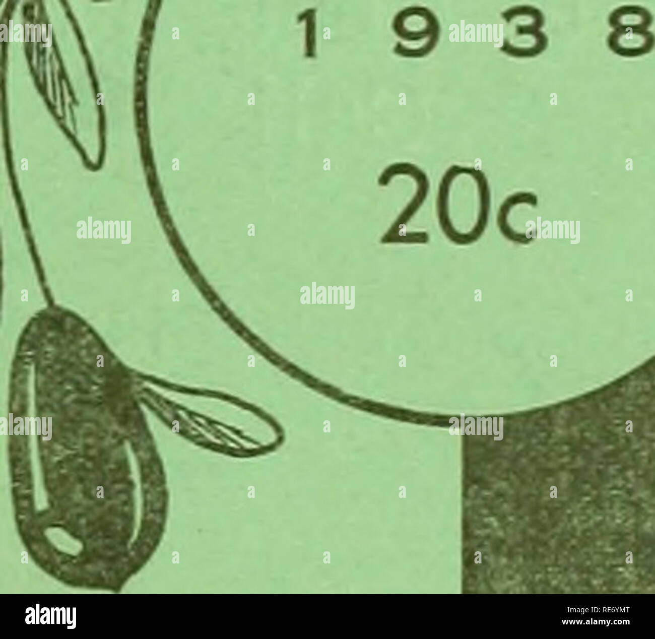 . Preiselbeeren;: die nationalen cranberry Magazin. Preiselbeeren. VPE COD EW JERSEY WISCONSIN OREGON WASHINGTON. Bitte beachten Sie, dass diese Bilder sind von der gescannten Seite Bilder, die digital für die Lesbarkeit verbessert haben mögen - Färbung und Aussehen dieser Abbildungen können nicht perfekt dem Original ähneln. extrahiert. Portland, CT [etc. ]: Taylor Pub. Co [etc. ] Stockfoto