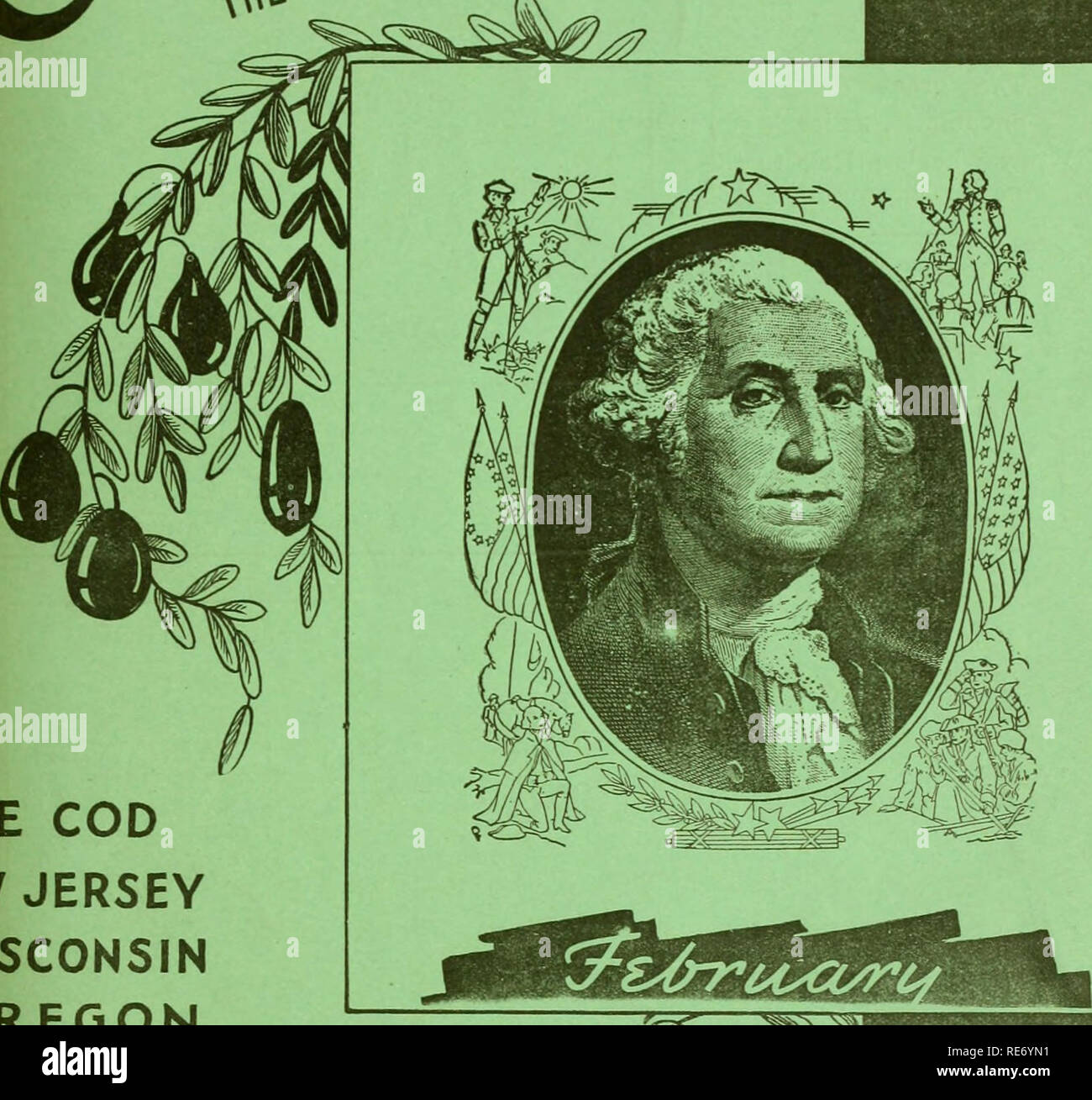 . Preiselbeeren;: die nationalen cranberry Magazin. Preiselbeeren. t* £^0 UI CRANBERRY MA6 AZ/N £. VPE COD EW JERSEY WISCONSIN OREGON WASHINGTON. Bitte beachten Sie, dass diese Bilder sind von der gescannten Seite Bilder, die digital für die Lesbarkeit verbessert haben mögen - Färbung und Aussehen dieser Abbildungen können nicht perfekt dem Original ähneln. extrahiert. Portland, CT [etc. ]: Taylor Pub. Co [etc. ] Stockfoto