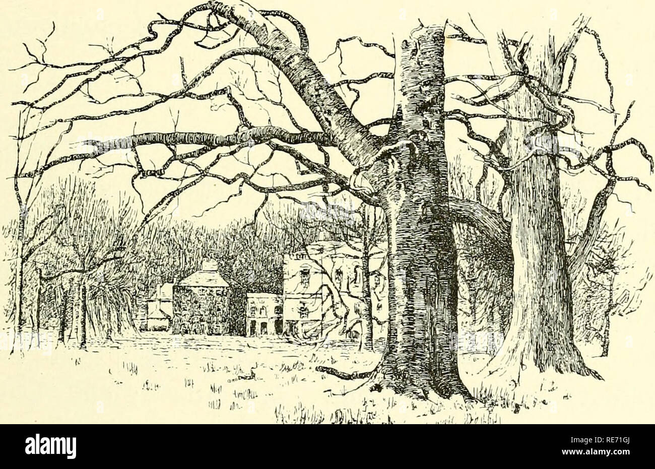 . Craigmillar und Umgebung; Mitteilungen der Topographie, Naturgeschichte, und Antiquitäten des Bezirks. Craigmillar Castle; Naturgeschichte; Genealogie. Die nähere Landschaft. 241 Hier die gefeierte Wald von Drumselch - Gaehc, druim sealche, d. h. der Hügel der Jagd - Erweiterte fast dem Holyrood. "In der Zeit des Herrn Somerville es als betrachtet wurde. Drum Haus, aus dem Südosten. Der schönste Ort Mid-Lothian, was noch die Rehe-Park geschmackvoll eingerichteten, in Gebüsche genannt. Herrn Somerville verkauft die Trommel Hay, der die Kohle gearbeitet, und in einem großen Maß zerstören Stockfoto