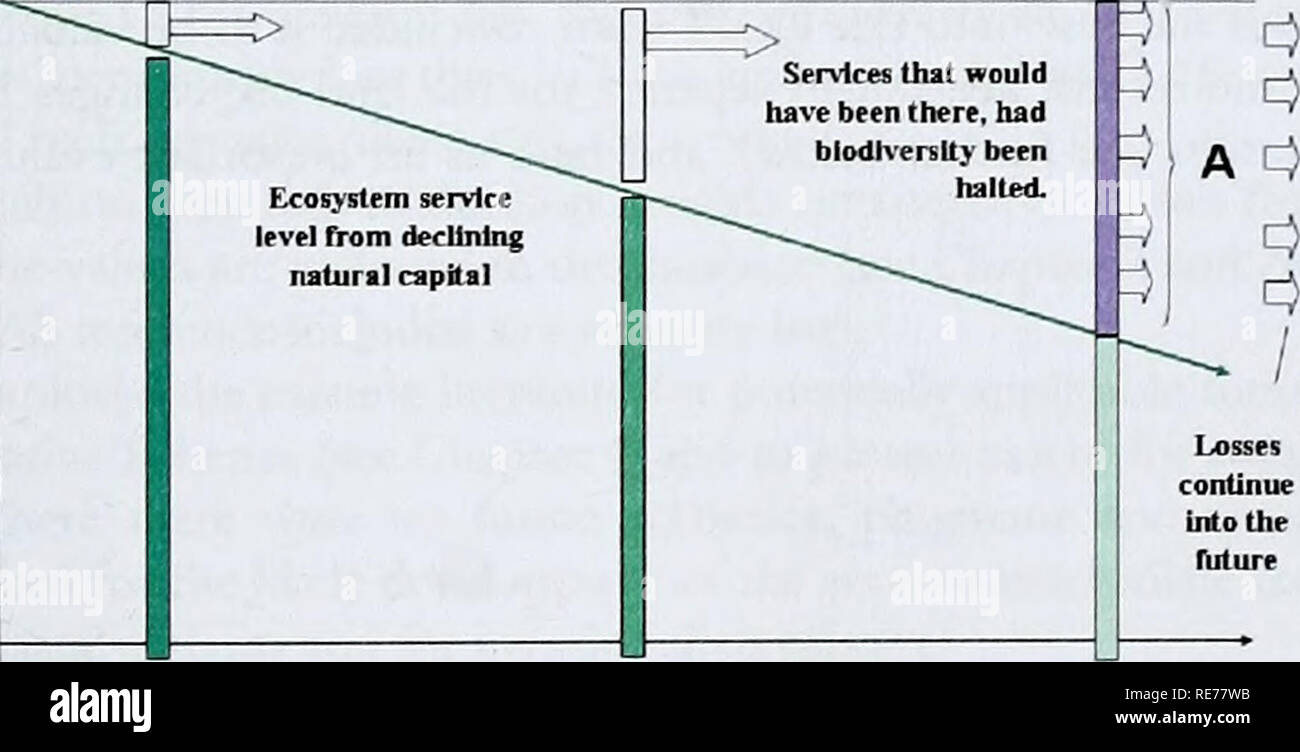 . Die Kosten der Untätigkeit der Politik: Der Fall, die sich nicht an die Biodiversität Ziel für 2010. Ansatz ist, dass die Lücken nicht die Ergebnisse dominieren. In der unteren Schätzung Szenario, dieser Transfer ist nicht erfolgt, und Zuschnitte. Der Wert dieses Ansatzes besteht darin, dass es die Sorge, dass der Transfer ist ein wenig zu pragmatischen in einen strengen Rahmen vertretbar vermeiden können. Wie es konkurrierende Prinzipien - erhalten ein vollständiges Bild und in einen robusten Ansatz - Die zwei appoaches genommen wurden und in die Szenarien integriert. Beachten Sie, dass letztlich die Bereiche, wo Lücken bestanden und Techniken erforderlich, um die Lücke zu füllen Stockfoto