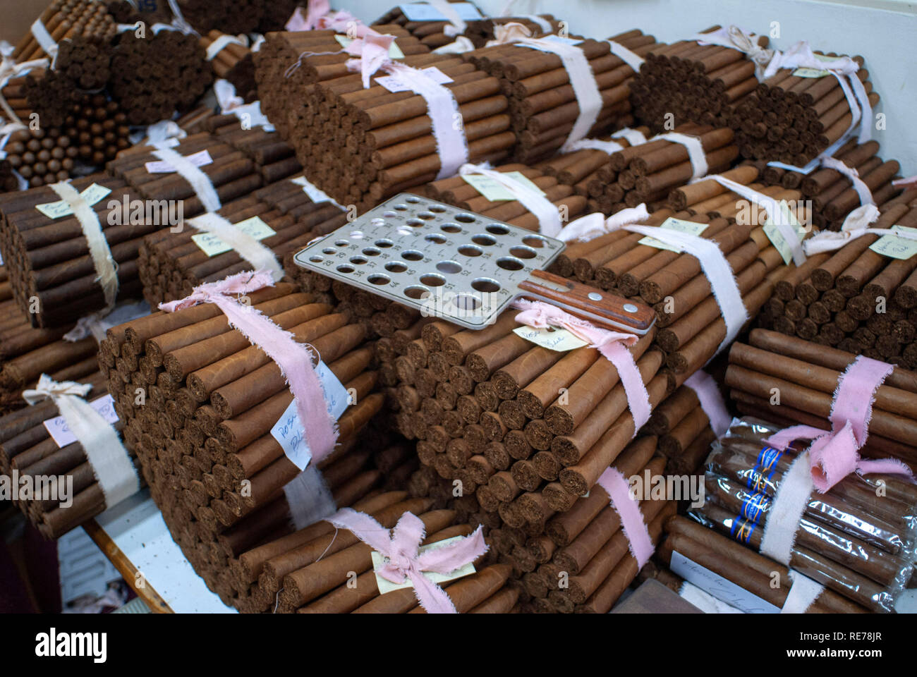 Graycliff Cigar Factory, Nassau, New Providence Island, Bahamas, Karibik. Rolling Zigarren auf Graycliff Cigar Company. Stockfoto