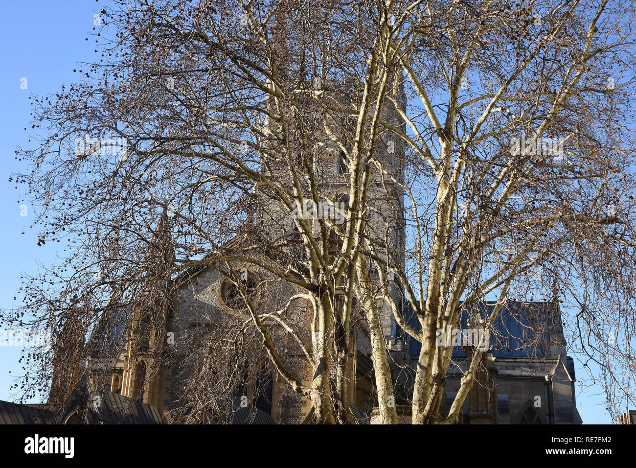 Southwark Cathedral, Ansicht von Borough High Street, Southwark, London SE1 UK Stockfoto