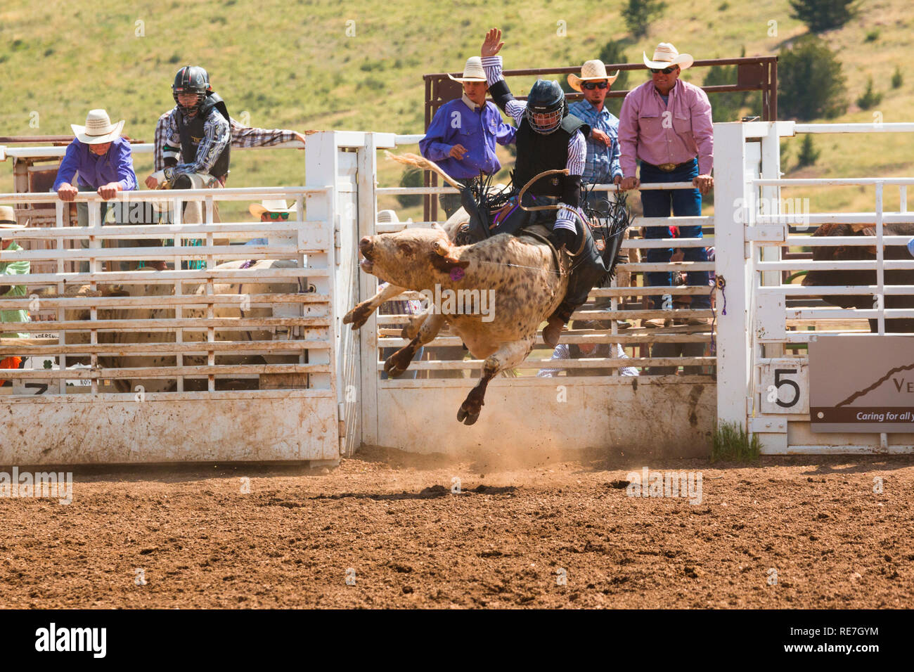 Cowboys und Cowgirls konkurrieren auf dem Dach der Welt, dem Rodeo Stockfoto