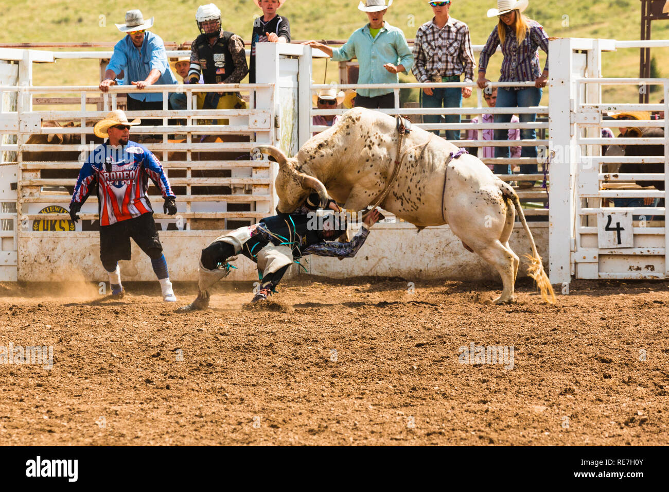 Cowboys und Cowgirls konkurrieren auf dem Dach der Welt, dem Rodeo Stockfoto