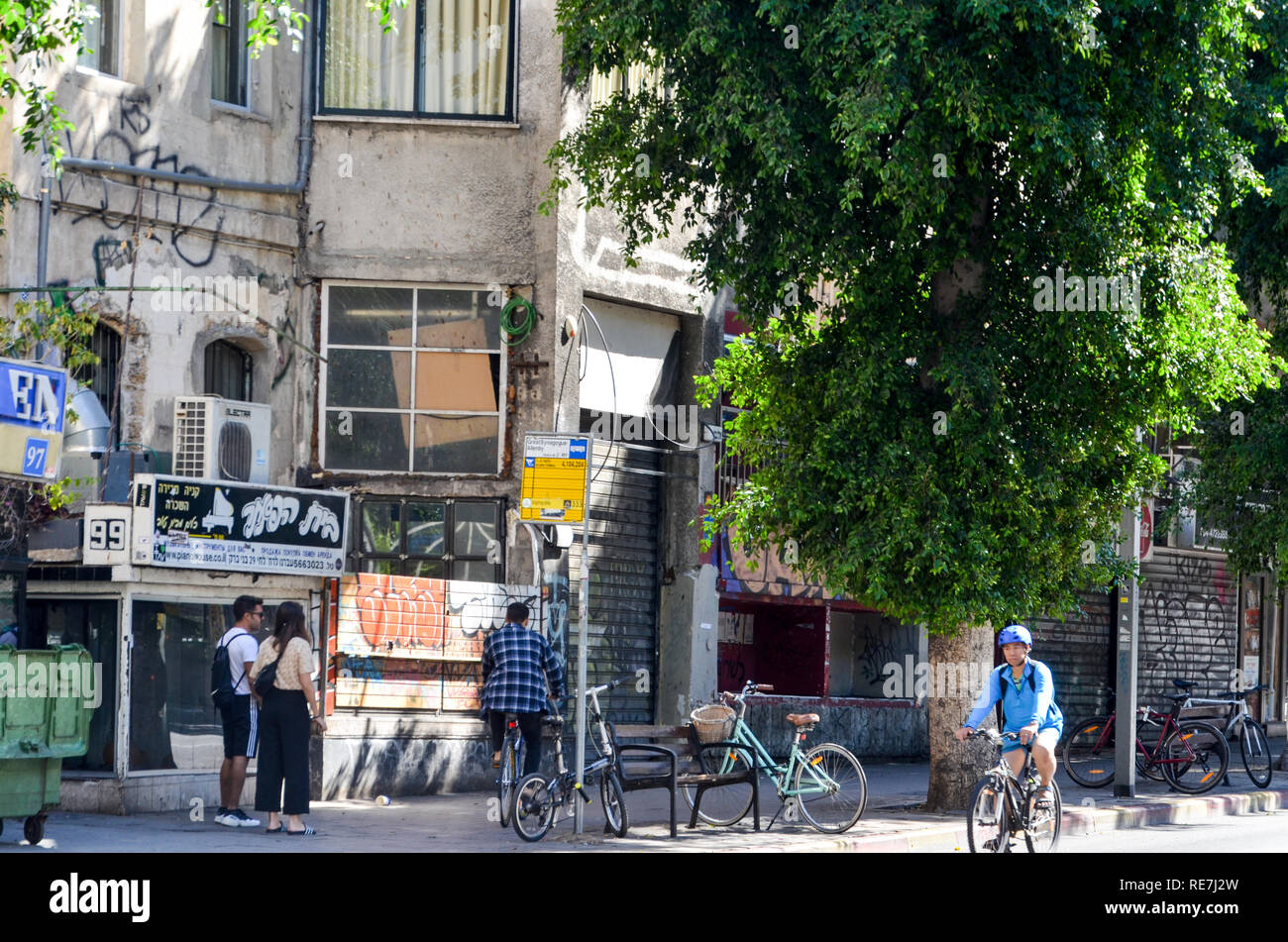 Bus hält an einem warmen Herbsttag auf Rotschild Boulevard, Tel Aviv, Israel Stockfoto