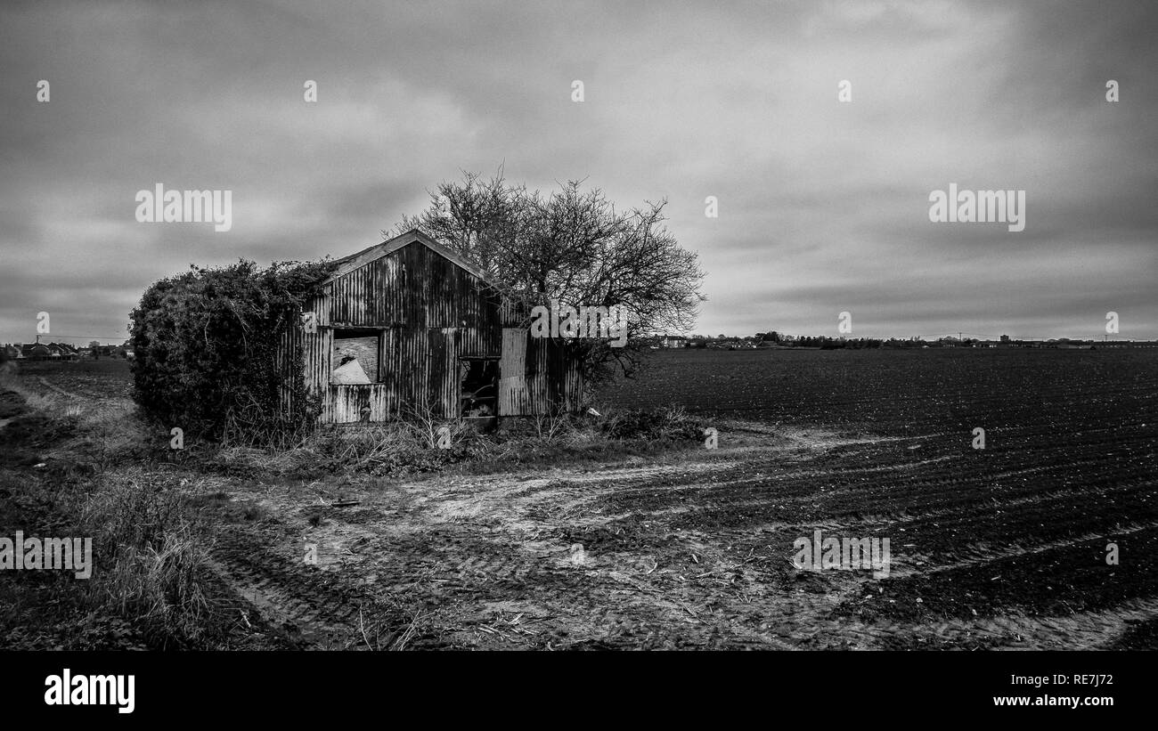 Die Schwarz-Weiß-Fotografie: verfallenes Gebäude auf ländlichen Ackerland, Kent, Großbritannien Stockfoto