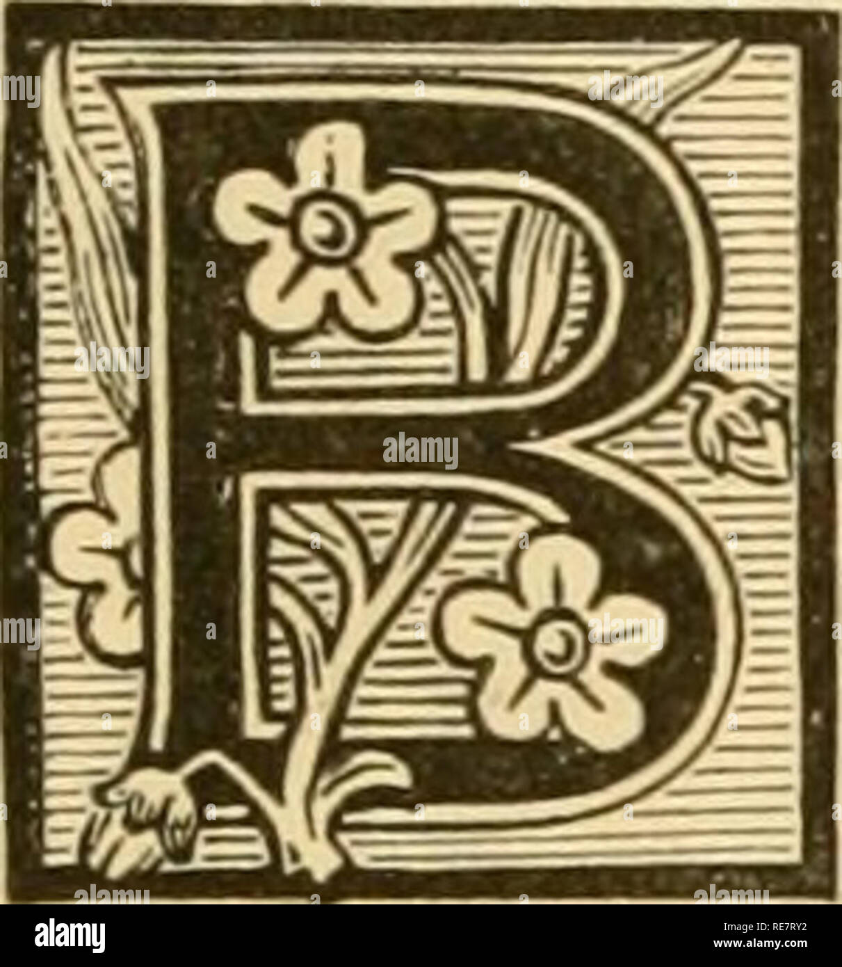 . Die Erde und ihre Bewohner... Geographie. Kapitel XII. Ägypten. Evor die Form der Erde war bekannt, dass eines Globus, jede Nation dachte, dass ihr Land das Zentrum der Welt besetzt, und ein bloßes Kind könnte die exakten Punkt-See" Berg, oder Tempel - das angeblich mitten in der Erde sein. Aber die Erforschung unseres Planeten hat bewiesen, dass auf der Strecke der Welt, nicht weniger als im unendlichen Raum, "das Zentrum ist überall und dem Kreisumfang nirgendwo." Dennoch, wenn die Oberfläche der Kugel wird entsprechend der Einteilung der untersucht. Stockfoto