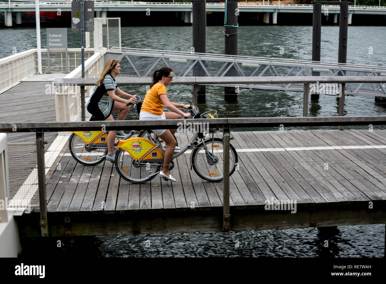 Radfahrer auf Citybikes, South Bank, Brisbane, Queensland, Australien Stockfoto