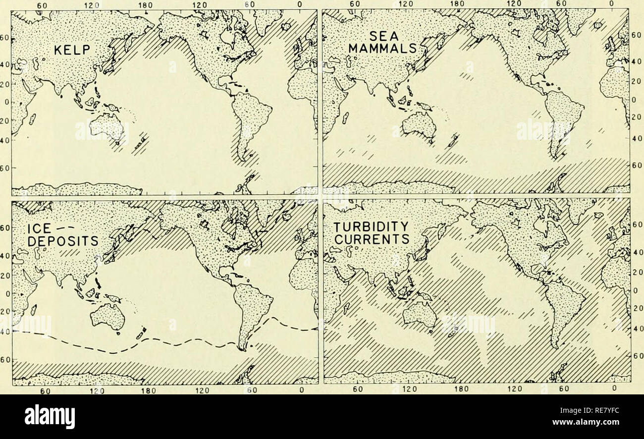 . Die Erde unter dem Meer: Geschichte. Ocean Bottom; Marine Geophysik. 778 EMERY [CHAP. 28. beobachtet mehrere hundert Kilometer vom Ufer in den Gewässern mehrere Kilometer tief. In der Tat, frei schwebenden Kelp wurde als eines der Zeichen der Nähe zu der zerklüfteten Küste von Kalifornien durch die Piloten der Manila Galeonen auf dem Weg nach Acapulco; daraufhin, die galleonen wurden zu einer regenfront Kurs gedreht zu erreichen Acapulco (Schurz, 1959, S. 239). Ein unbekannter Prozentsatz dieser frei Driften kelps noch schleppen ihre felsigen Anker durch das Wasser. Ein Beispiel gemeldet von Menard. Abb. 2. Bereiche mit der größten importa Stockfoto