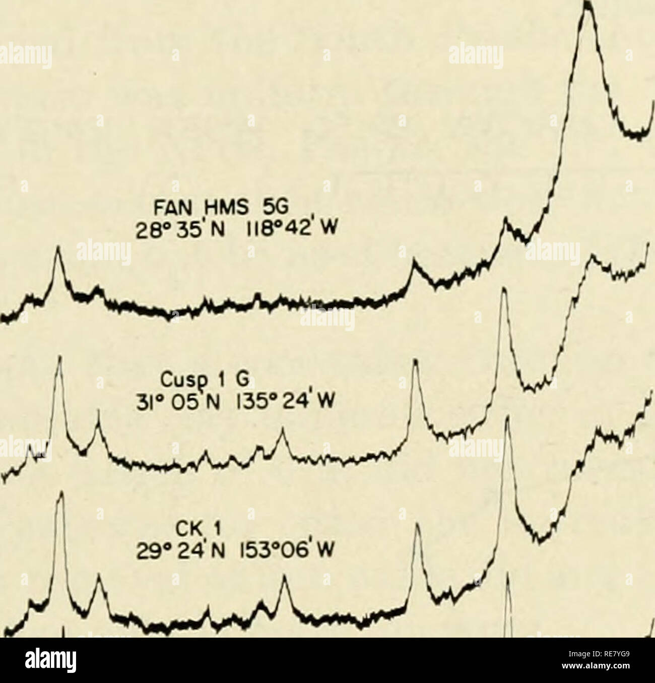 . Die Erde unter dem Meer: Geschichte. Ocean Bottom; Marine Geophysik. SECT. 3] TON-MINERAL-Verteilungen IN DEN PAZIFISCHEN OZEAN 737 abnehmende Intensität bei gleichzeitiger Steigerung der Intensität und Auflösung der ilHte und Chlorit Gipfel führen würde ein zu glauben, dass der 17. Ein Material verwandelt wurde zu einem gut Kristallisierten Illit und Chlorit. Zweifellos ist dies einer der Faktoren, die Einfluss auf die Ton-mineral-Verteilung wird in der 3.3 Eine 3.5&amp; 4,7A 5 &Amp; 1 I 7 I&amp; 10 S I7&amp;. CK 22 ZS 'aa' N 168* 53 W' V** Vyy^/W MP 40-1 16°N 178°E Bitte beachten Sie, dass diese Bilder ar Stockfoto