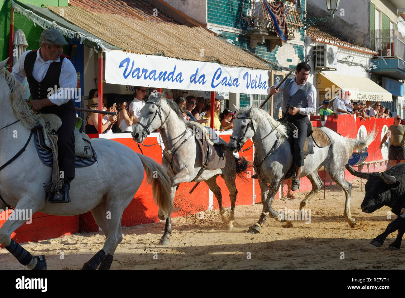 Traditionelle Largada de Toiros, Straße Stierkampf, Festas do Barrete Verde e das Salinas, Provinz Alcochete, Setubal, Portugal Stockfoto