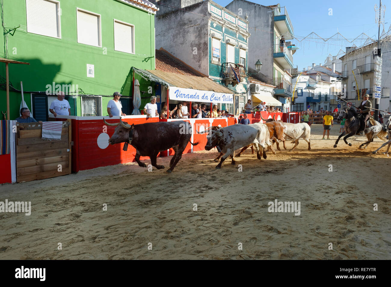 Traditionelle Largada de Toiros, Straße Stierkampf, Festas do Barrete Verde e das Salinas, Provinz Alcochete, Setubal, Portugal Stockfoto