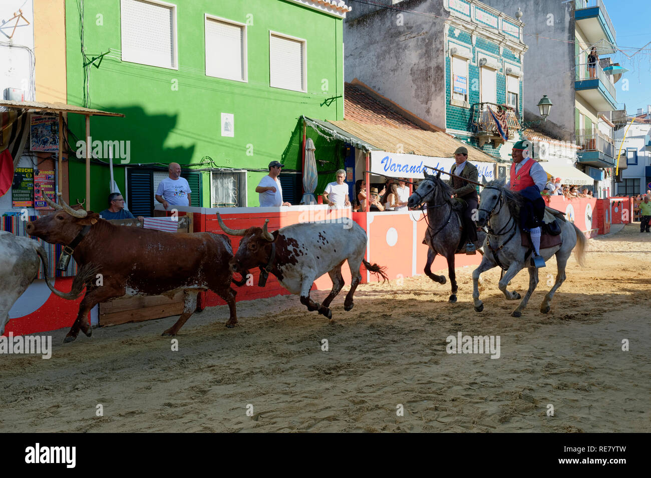 Traditionelle Largada de Toiros, Straße Stierkampf, Festas do Barrete Verde e das Salinas, Provinz Alcochete, Setubal, Portugal Stockfoto