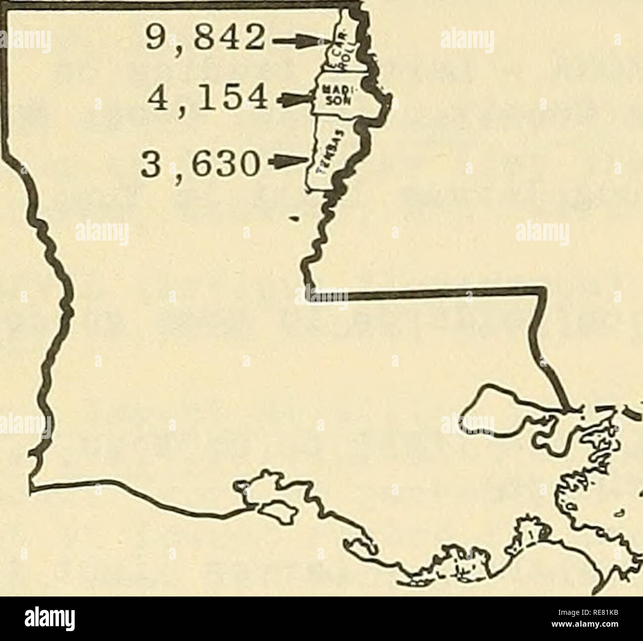 . Kooperative Wirtschaftsbeziehungen insekt Bericht. Nützlinge und Schädlinge. - 34 - Boll Rüsselkäfer Winterschlaf Umfrage In Louisiana - Herbst 1964 Herbst Sammlungen von Oberfläche Holz Papierkorb (zwei Quadratmeter pro Probe) wurden in Madison, Osten Carroll und Tensas Pfarreien (nordöstlich) vom 23. November bis 3. Dezember 1964, die Zahl der boll Rüsselkäfer (Anthonomus grandls) Erwachsene, die in den Winterschlaf ging zu bestimmen. Insgesamt wurden 3 Proben an jedem Standort gesammelt und mit 10 Standorten in Osten Carroll, 10 Standorte in Tensas und 20 Standorten in Madison Pfarreien verwendet wird. Insgesamt 120 Proben wurde Stockfoto