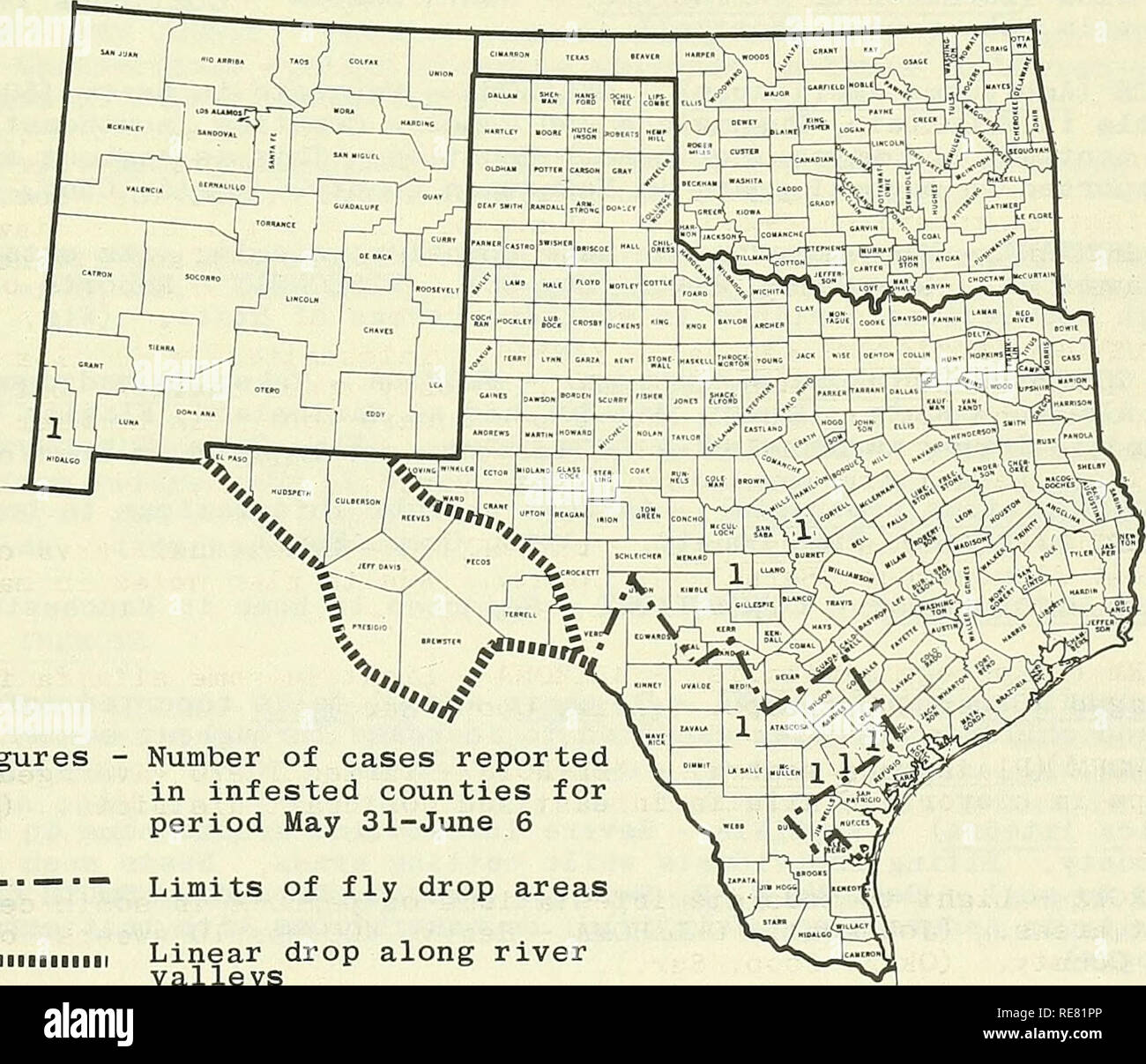 . Kooperative Wirtschaftsbeziehungen insekt Bericht. Nützlinge und Schädlinge. - 625 - STATUS DER SCHRAUBE-WORM (Cochliomyia hominivorax) IM SÜDWESTEN im Zeitraum 31. Mai bis 6. Juni die erste Schraube-worm-Fall seit Dezember 2, 1963, berichtet von Hidalgo County, New Mexico. Cochise County, Arizona, angrenzende Hidalgo County, New Mexico, berichtet 7 Schraube-worm-Fällen. Santa Cruz County, Arizona, berichteten auch über eine Schraube-worm-Fall. Sechs bestätigte Fälle wurden in dieser Zeit in Texas bekannt gegeben. Lampasas und Mason Grafschaften sind die 2 nördlichsten Fällen. Frio, Live Oak, Biene und Goliad Grafschaften auch Repo Stockfoto