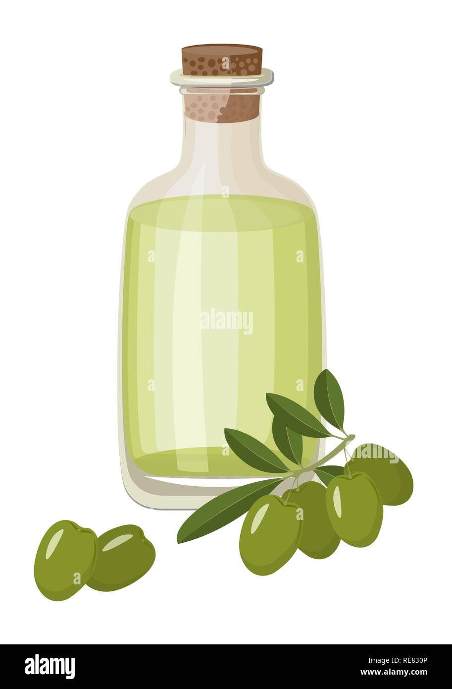 Flasche gesunde Extra vergine Olivenöl und frischen grünen Oliven mit Blättern. Vector Illustration auf weißem Hintergrund Stock Vektor