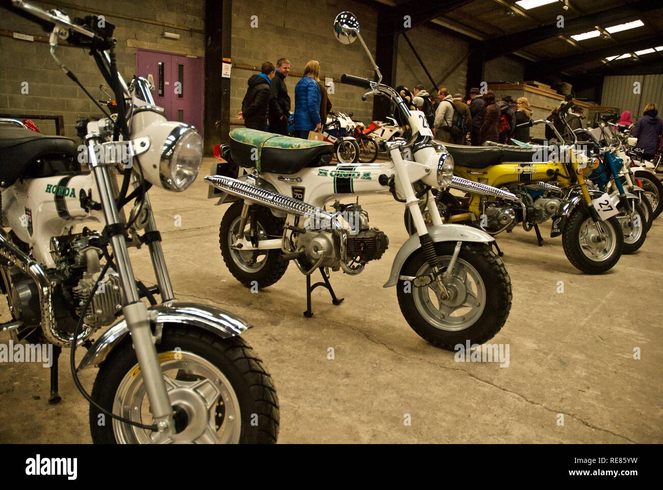 Honda Dax Monkey Bikes an der Anglesey Oldtimer Rallye, Anglesey, North Wales, UK, Mai 2010 Stockfoto