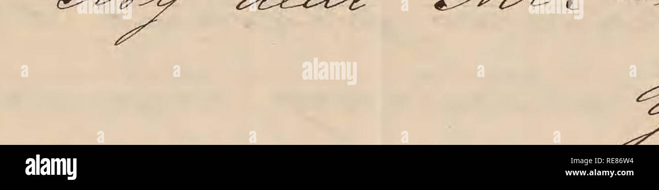 Rudolf Blaschka Briefe An Walter Deane Botaniker Korrespondenz Xx F Xh T W X Y X X Xx Tx T Xe Amp Lt X2xx Lt X X J X Zx Tx C Ixx Amp X Amp Xx Z H 7 7 7 X7xx Xxx Xx V Xx Szx P Er T
