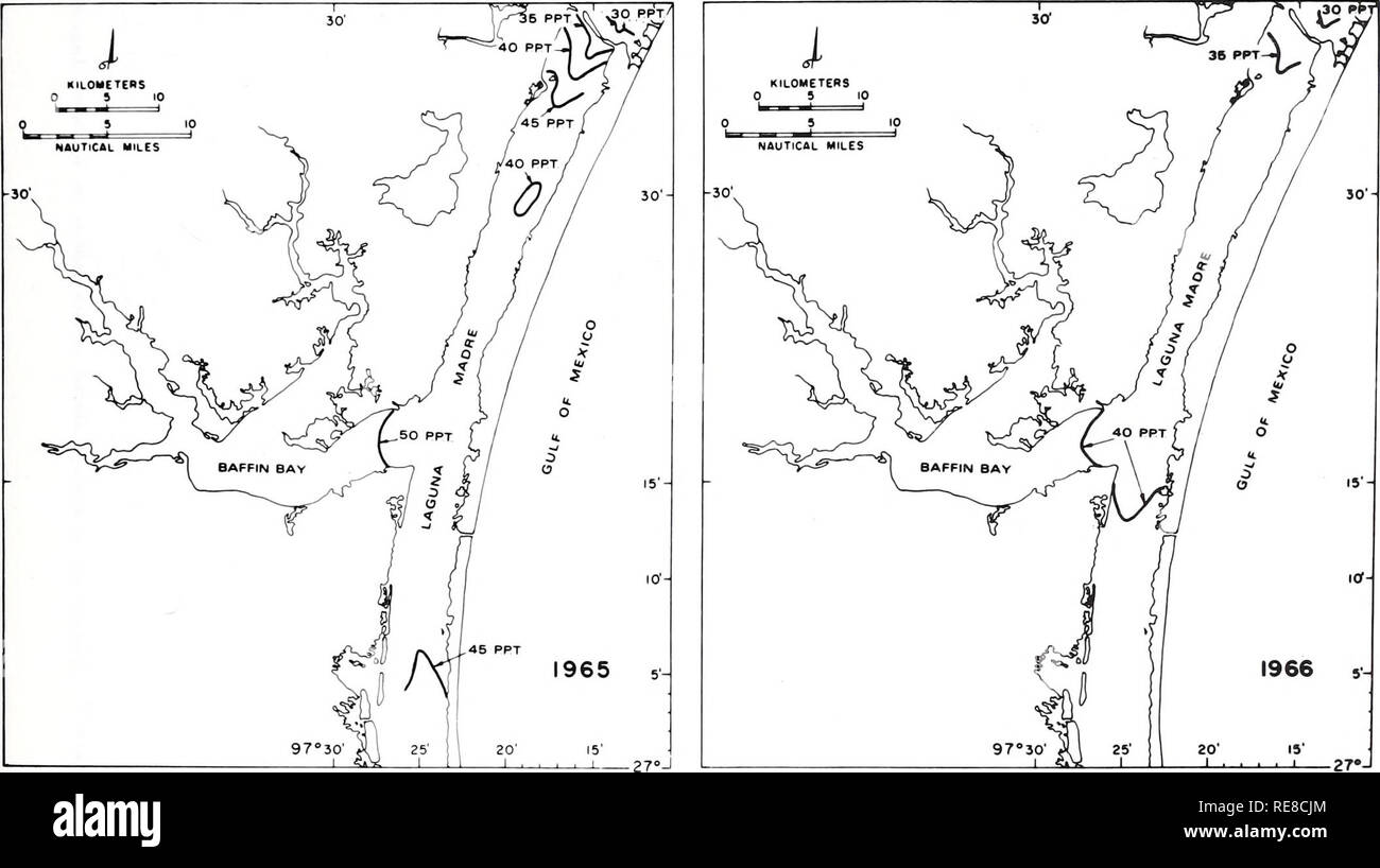 . Kooperative Golf von Mexiko Mündungs- bestand und Studie, Texas: Bereich Beschreibung / Richard A. Diener. Ästuare Texas. Abbildung 26 - Verteilung der durchschnittlichen jährlichen Oberfläche Salzgehalt im oberen Laguna Madre und angrenzende Teile der Baffin Bay für 1963-1966. (Von Hawley 1963, 1964; Martinez 1965, 1966.) 43. Bitte beachten Sie, dass diese Bilder sind von der gescannten Seite Bilder, die digital für die Lesbarkeit verbessert haben mögen - Färbung und Aussehen dieser Abbildungen können nicht perfekt dem Original ähneln. extrahiert. Diener, Richard ein; in den Vereinigten Staaten. National Marine Fischerei Service. Stockfoto