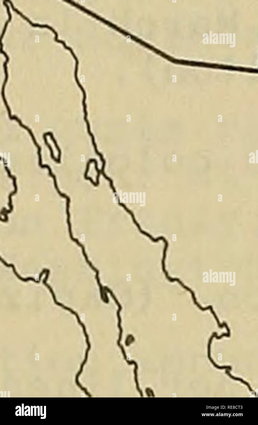 . Kooperative Wirtschaftsbeziehungen insekt Bericht. Nützlinge und Schädlinge. 268 Armyworm wie berichtet Woche Ende April 5 7159 107. 205 ARMYWORM (Pseudaletia unipuncta) - louisiana Körner in 3 Gemeinden. (Oliver). Kohl LOOPER (trichoplusia Ni) - Georgien - bei 40 pro 100 fegt. (Johnson). Wiese SPITTLEBUG (Philaenus leucophthalmus) Anne Arundel County, April 2. ^ ^       MARYLAND (U. M d., Ent. Abt.). - Sehr leichte parasitäre Erkrankungen in kleinen gesichertem Alfalfa in Sumter County Schraffuren auf wegerich CUTWORMS - Utah - Chorizagrotis auxiliaris verursacht wenig Schaden Luzerne einige Bereiche. (Knowlton)^ NEB Stockfoto