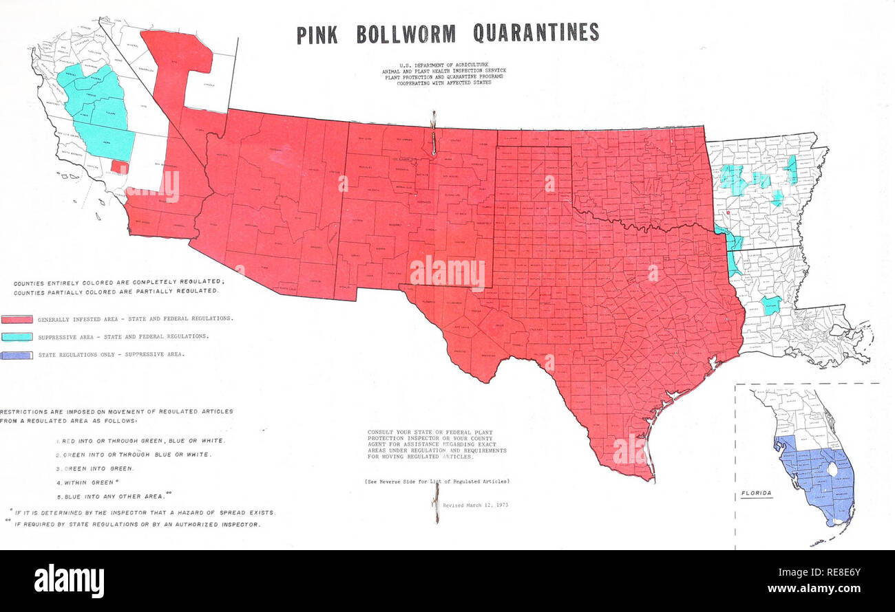 . Kooperative Wirtschaftsbeziehungen insekt Bericht. Schadinsekten Kontrolle Usa Zeitschriften. . Bitte beachten Sie, dass diese Bilder sind von der gescannten Seite Bilder, die digital für die Lesbarkeit verbessert haben mögen - Färbung und Aussehen dieser Abbildungen können nicht perfekt dem Original ähneln. extrahiert. In den Vereinigten Staaten. Büro der Entomologie und Quarantäne; in den Vereinigten Staaten. Anlage Schädlingsbekämpfung Niederlassung; in den Vereinigten Staaten. Anlage Schädlingsbekämpfung Division; in den Vereinigten Staaten. Tier- und Pflanzengesundheit Inspection Service. Pflanzenschutz und Quarantäne Programme. Washington, D.C.: US Abt. Landwirtschaft Stockfoto