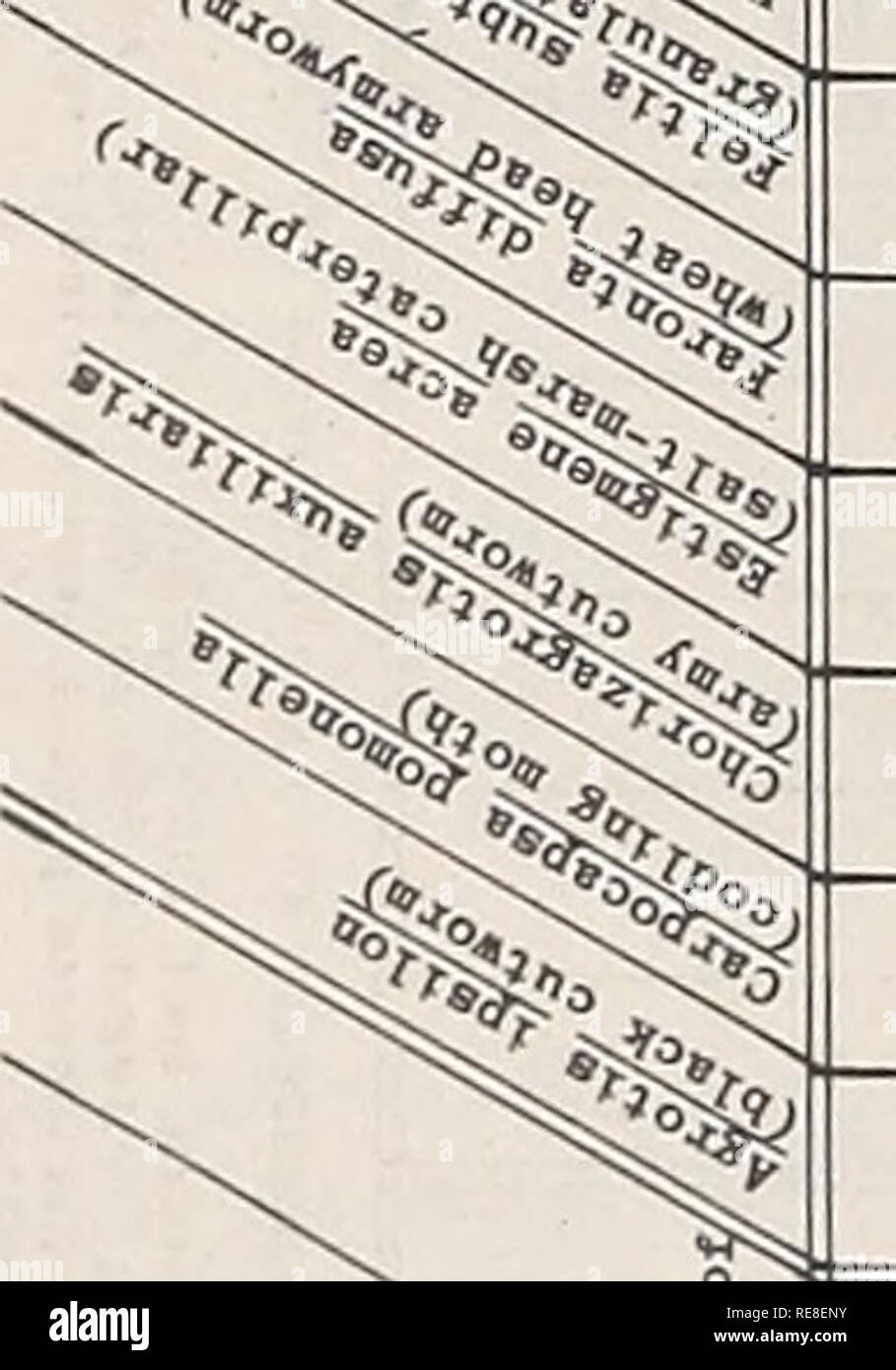 . Kooperative Wirtschaftsbeziehungen insekt Bericht. Schadinsekten Kontrolle Usa Zeitschriften. 822 - o S Co cm zu "o m BNHMSNOJriClNllOVi^ Sn^ OO CM CM T "CO rH rH g in Zusammenarbeit â¢â" in m CO Ol ^^O) M CM CO o C CO iH CM F O rH 00 Uhr in CO 10 CM CM (0 CD CO rH CO CO O O O-0 "VO" NMnt ONOint" - L'£ INt-HO "H in CM R-l D "Co t> O^o^ amcftooincM cMoooorHOOo CO fl * Ol O CO âI ti< Co in^ cm in Zusammenarbeit * CO CO OOOOOOOOOOOrHrHOrHOOOO rH CO CD CM coco CO rH^ CM CO 00 W^t-C ~ I I I C CM N0 ≪Co f~r-i z<'H OK II CO CD-M10-O-RL 30 O Â" M "OS<< o • rl CO^in einem Co<  £ Stockfoto