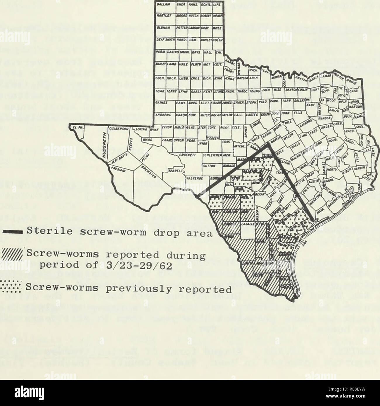 . Kooperative Wirtschaftsbeziehungen insekt Bericht. Schadinsekten Kontrolle Usa Zeitschriften. - 311 - Obscurus schwer auf Kakteen in einem Kindergarten in Hayward, Alameda County. (Cal. Coop. Rpt). Eine FLATHEADED HOLZ BORER (Anthaxia aeneogaster) - Kalifornien - Erwachsene Medium auf Narzisse Blüten auf Narzisse Hügel im Vulkan, Amador County. (Cal. Coop. Rpt). Ein HOLLY LEAF MINER (Phytomyza sp., unbeschriebene) - DELAWARE - ausgewachsene Larven und Puppen dieser großen Fleck Miner in American Holly in Sussex County. (Kelsey, Burbutis). Fichte SPIDER MITE (Oligonychus ununguis) - Arizona - Zunehmende infestatio Stockfoto