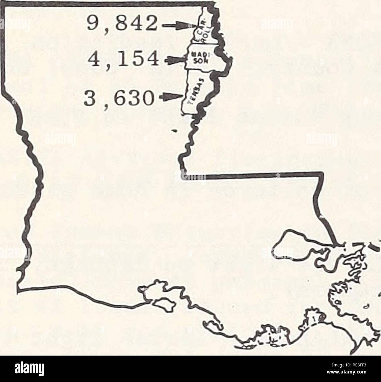 . Kooperative Wirtschaftsbeziehungen insekt Bericht. Schadinsekten Kontrolle Usa Zeitschriften. - 34 - Boll Rüsselkäfer Winterschlaf Umfrage in Louisiana - Herbst 1964 Herbst Sammlungen von Oberfläche Holz Papierkorb (zwei Quadratmeter pro Probe) wurden in Madison, Osten Carroll und Tensas Pfarreien (nordöstlich) vom 23. November bis 3. Dezember 1964, die Zahl der boll Rüsselkäfer zu bestimmen (Anthonomus grandis) Erwachsene, die sich in den Winterschlaf zurück ging. Insgesamt wurden 3 Proben an jedem Standort gesammelt und mit 10 Standorten in Osten Carroll, 10. Standorte in Tensas und 20 Standorten in Madison Pfarreien verwendet wird. Insgesamt Stockfoto