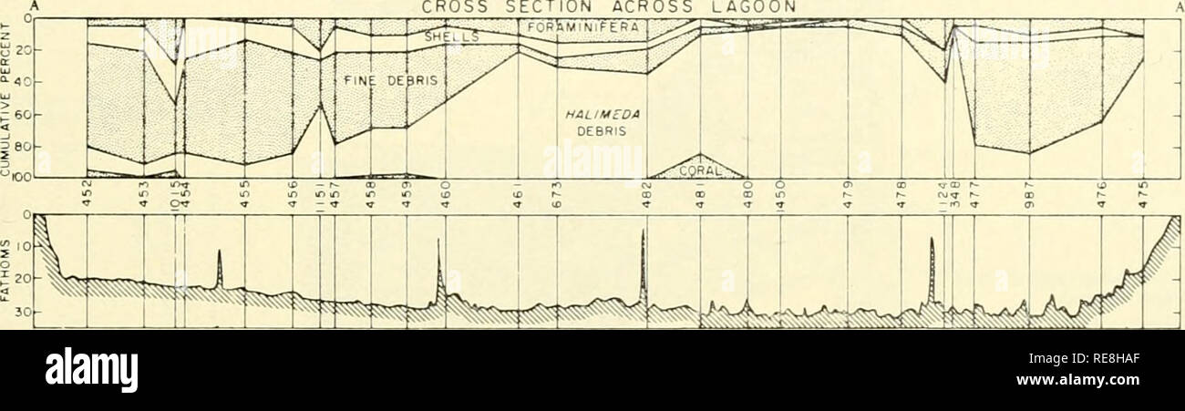 Die Erde Unter Dem Meer Geschichte Ocean Bottom Marine