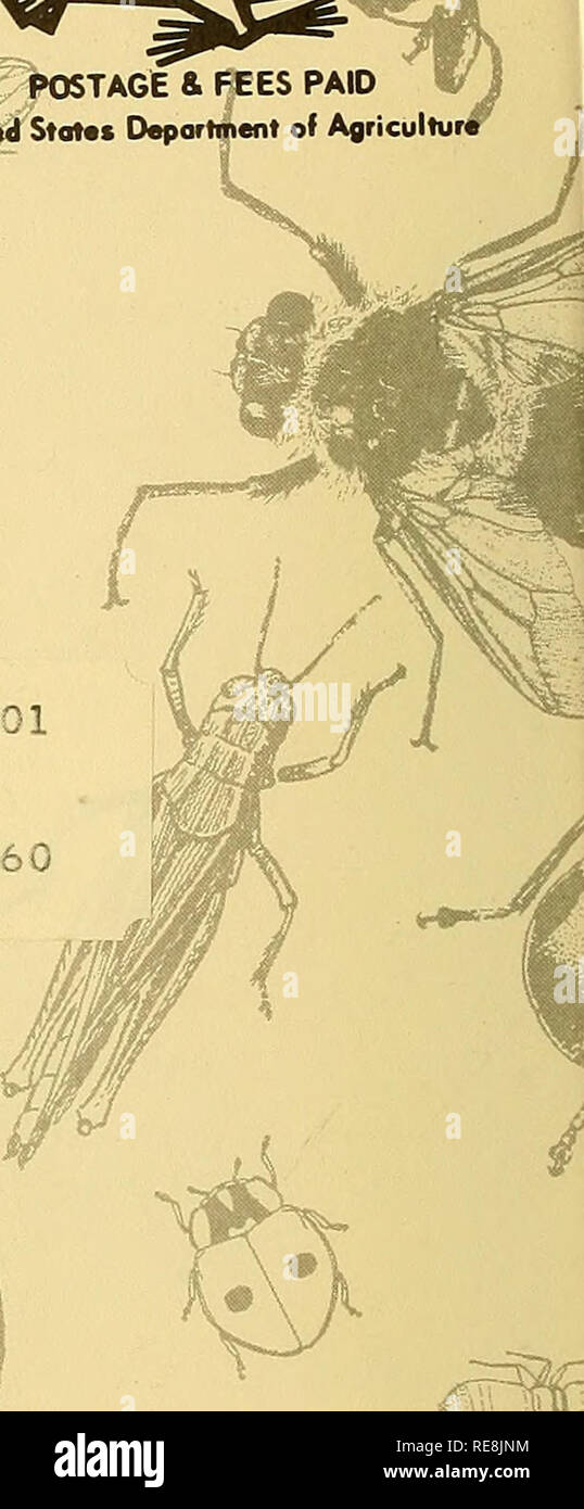 . Kooperative Wirtschaftsbeziehungen insekt Bericht. Nützlinge und Schädlinge. Porto & Amp; GEZAHLTEN GEBÜHREN ihiitad Stotas Abteilung AgriculturJ 6271 USENLINATA 122 03001 0001 UNS ENTO'^OLOGY BIBLIOTHEK DEPT SDGG NATIONAL MUSEUM20560. Bitte beachten Sie, dass diese Bilder sind von der gescannten Seite Bilder, die digital für die Lesbarkeit verbessert haben mögen - Färbung und Aussehen dieser Abbildungen können nicht perfekt dem Original ähneln. extrahiert. In den Vereinigten Staaten. Tier- und Pflanzengesundheit. Pflanzenschutz und Quarantäne Programme; in den Vereinigten Staaten. Büro der Entomologie und Quarantäne; United Stockfoto