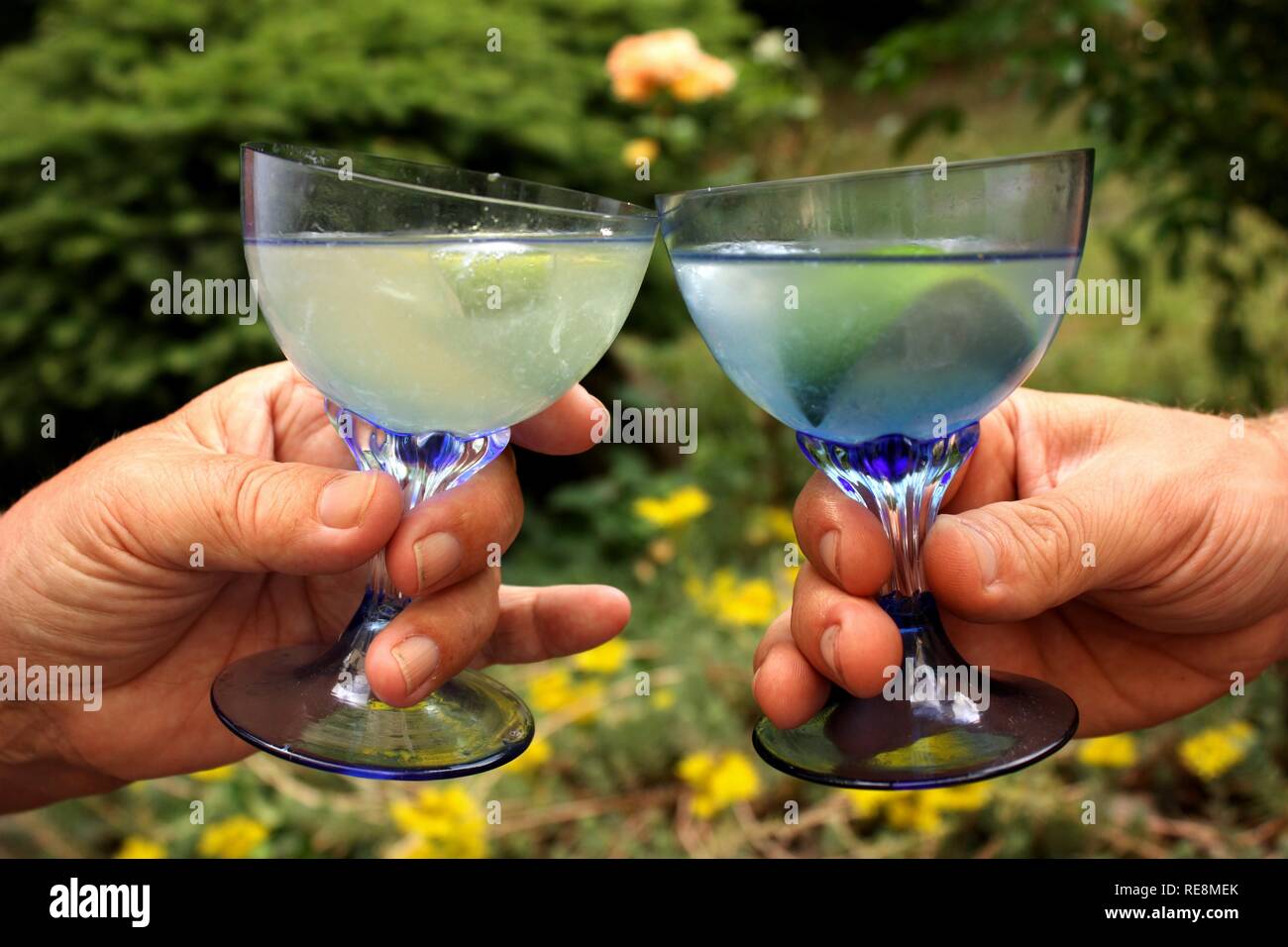 2 Cocktail Drinks cheers in einem Garten Stockfoto