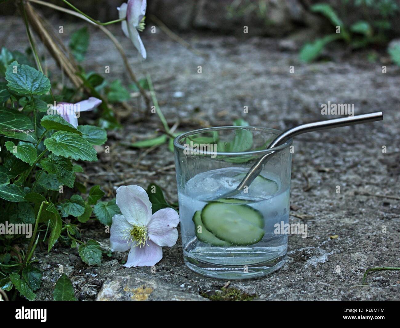 Gin und Tonic mit Gurke und wiederverwendbare Stroh in einem Garten Stockfoto