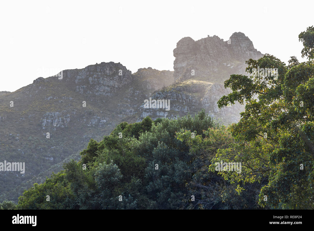 Blick auf den Tafelberg von Kirstenbosch in Kapstadt Stockfoto