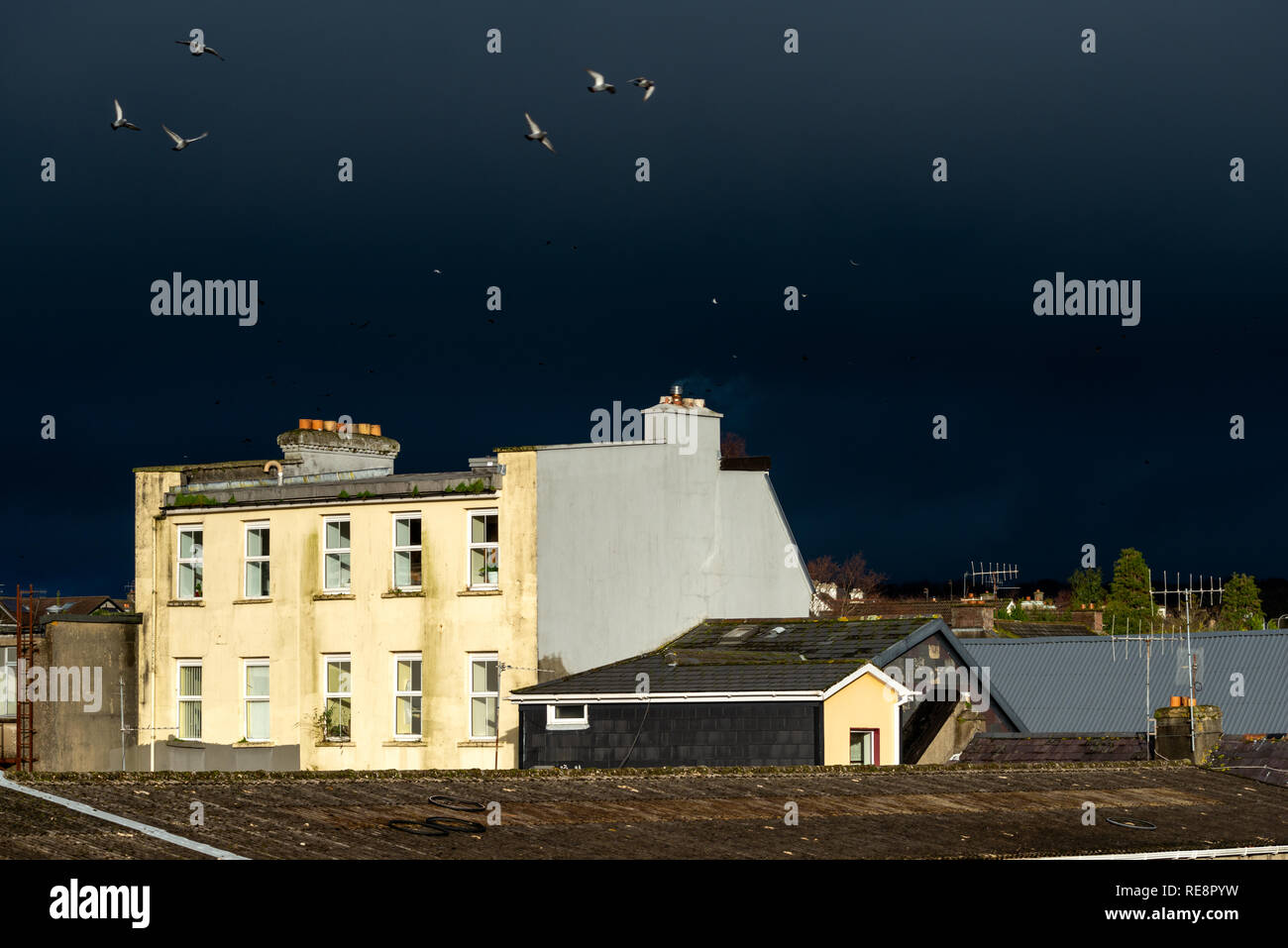 Hell erleuchtetes Gebäude vor dramatischem stürmischem dunklen Himmel und Vögeln als urbaner Kontrast, Killarney, Irland Stockfoto