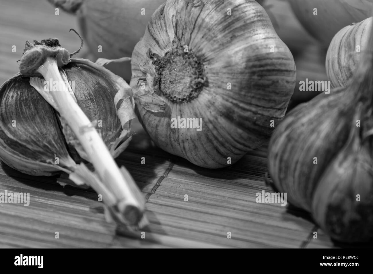 Knoblauch (lateinisch Állium satívum) - mehrjährige Kraut; Arten der Gattung Zwiebel der Familie Amaryllis (Amaryllidaceae) Der unterfamilie Zwiebel (Allioideae Stockfoto