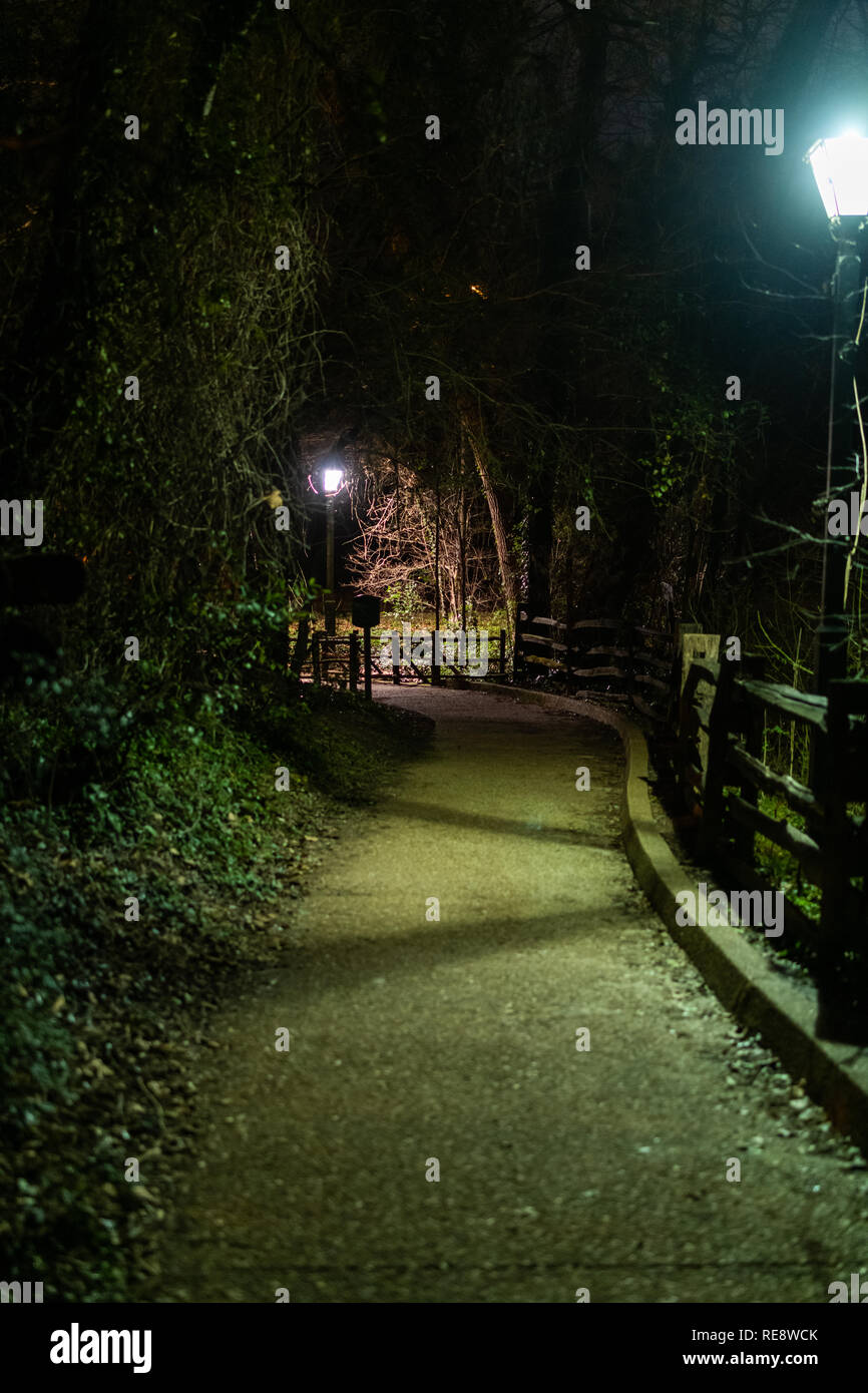 Creepy Pfad durch den Wald bei Nacht Stockfoto