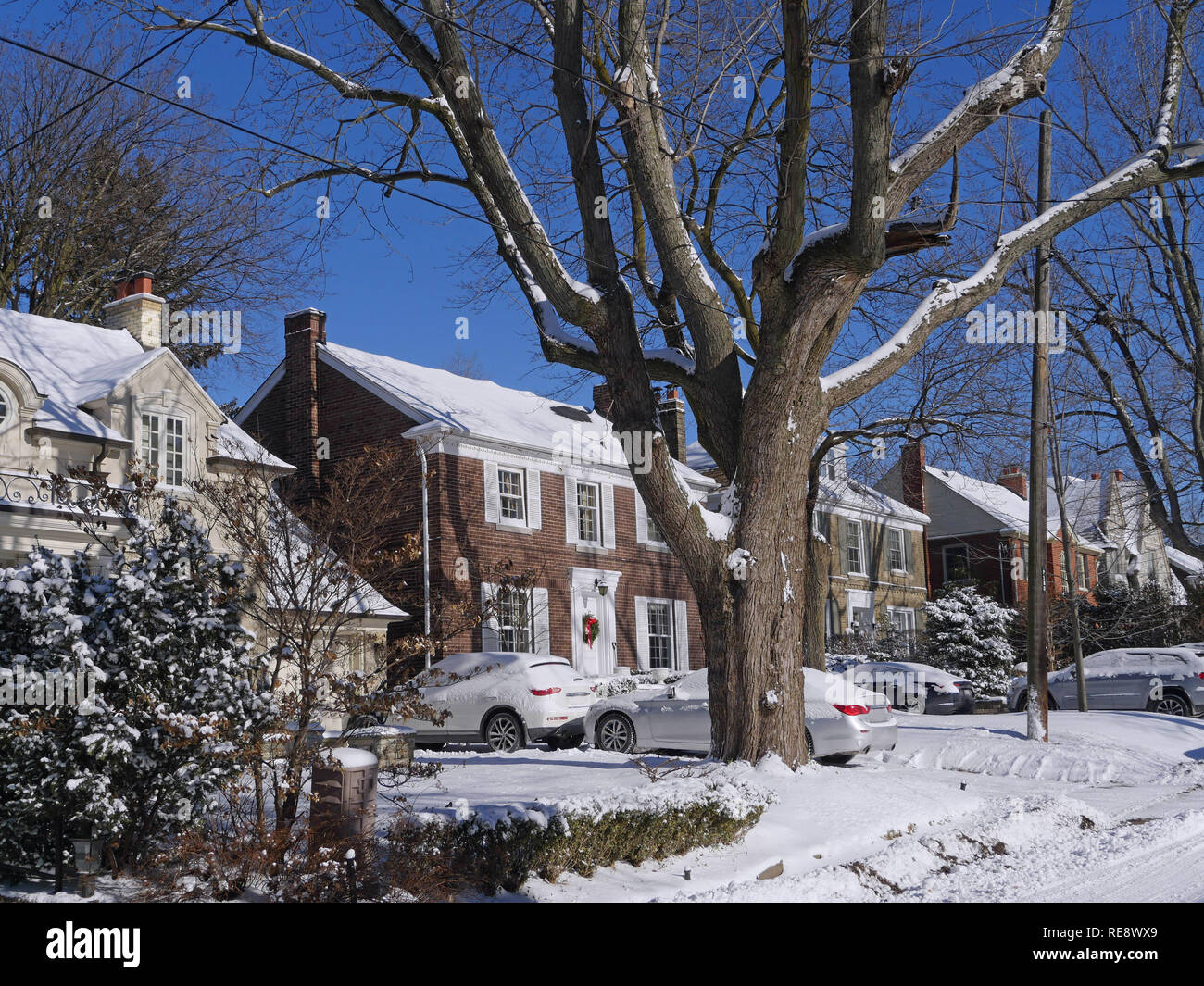 Suburban Straße an einem sonnigen Wintertag mit Büschen von Schnee bedeckt Stockfoto