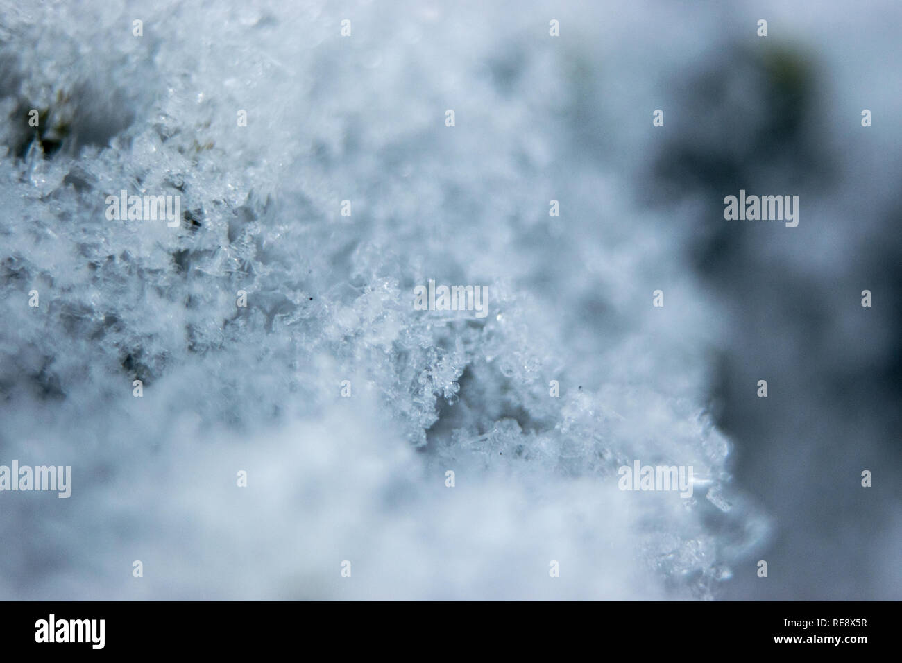 Makro Bilder von Schnee- und Eiskristalle auf pine Niederlassungen auf einer extrem kalten Winter Januar Tag in Calgary, Alberta, Kanada. Stockfoto
