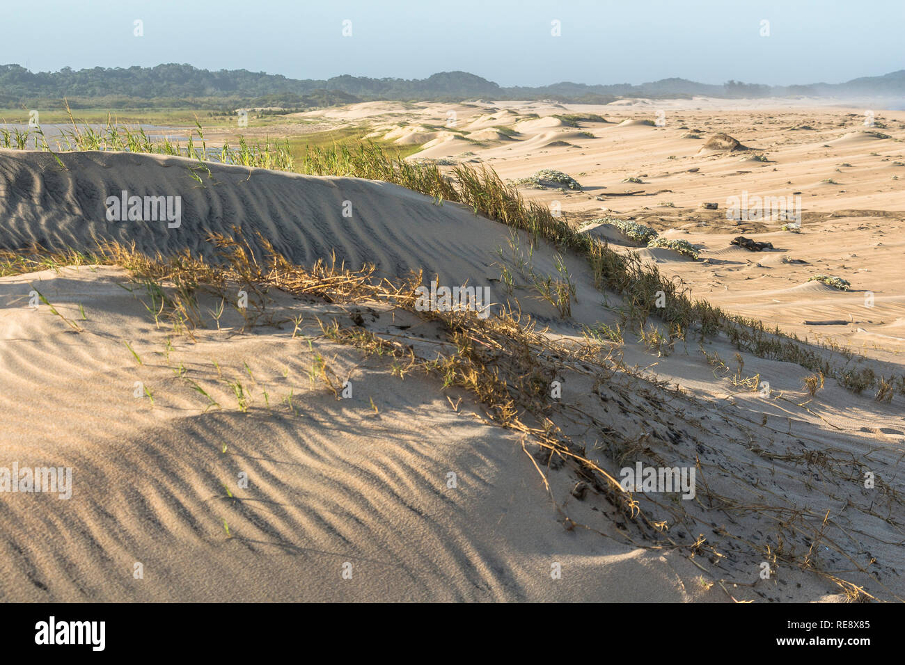 Schönen Sanddünen in St. Lucia in Südafrika Stockfoto