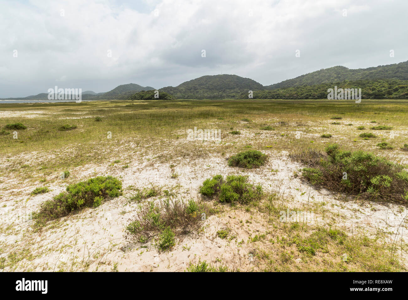 St. Lucia Wetlands Park, schöne Natur Stockfoto