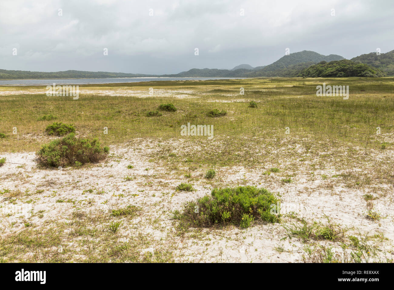 St. Lucia Wetlands Park, schöne Natur Stockfoto