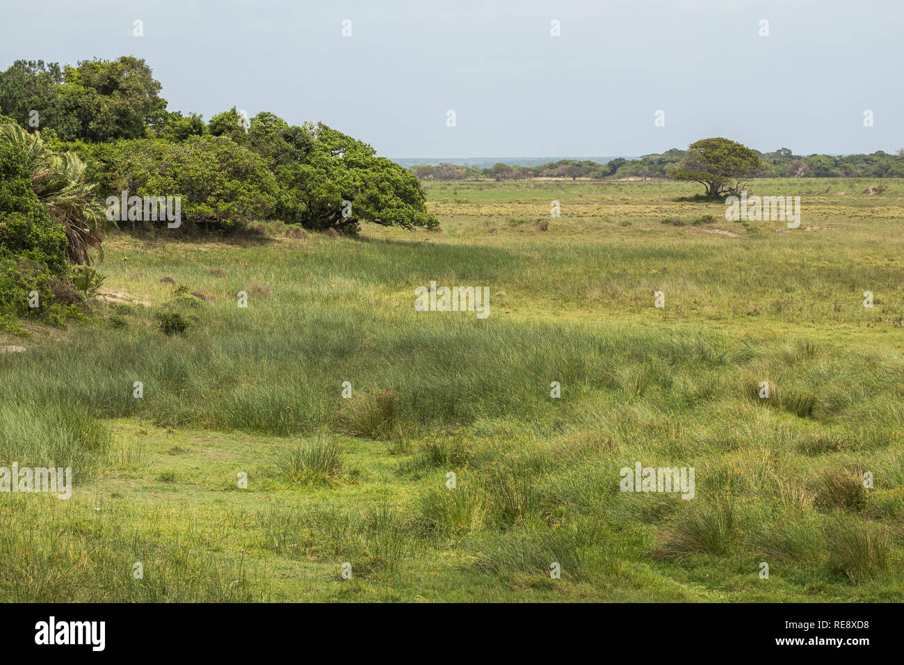 St. Lucia Wetlands Park Landschaft, Südafrika Stockfoto