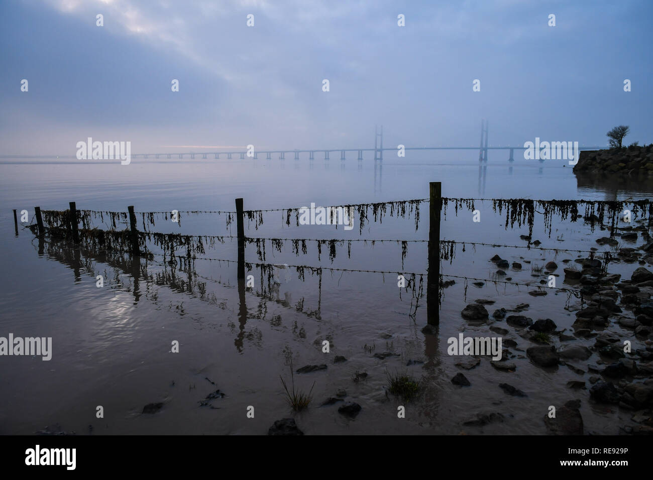 Bei Sonnenaufgang Nebel umgibt, der Prinz von Wales Brücke über den Fluss Severn Estuary zwischen England und Wales, wo über Nacht cloud ein Frost verhindert hat und verdeckt den Blick auf die totale Mondfinsternis für viele Teile des West Country. Stockfoto
