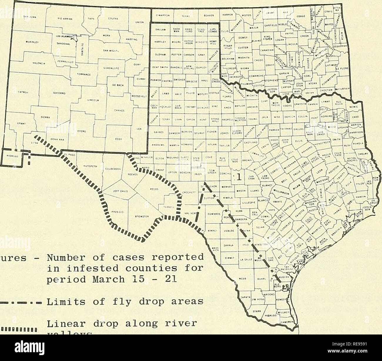 . Kooperative Wirtschaftsbeziehungen insekt Bericht. Nützlinge und Schädlinge. - 243 - LONE STAR TICK (Amblyomma americanum) - Oklahoma - Licht Populationen im Pushmataha und Latimer Grafschaften (Südosten). (Okla. Coop. Sur). STATUS DER SCHRAUBE-WORM (Cochliomyia hominivorax) IM SÜDWESTEN im Zeitraum März 15-21, eine Schraube - Worm in Texas bekannt gegeben wurde, trat in einem Rinder auf der Ranch in der Nähe von Brady, McCulloch County. Larven von praktizierenden Tierarzt gesammelt; ermittelt als 29 Phormia regina und 1 in der zweiten Phase Cochliomyia hominivorax. Insgesamt 104,663,050 sterile Schraube - Wurm W Stockfoto