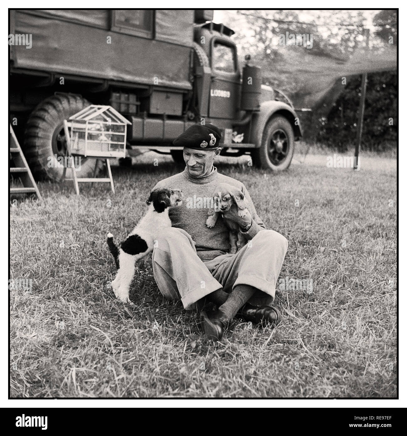 Archiv WW2 General Montgomery (Monty) mit seinem Welpen "Hitler" und "rommel" auf seinem Mobiltelefon Hauptsitz in der Normandie, am 6. Juli 1944. Hinter gesehen werden kann seinen Käfig der Kanarischen Inseln, die auch mit ihm gereist. Der zweite Weltkrieg 1939 - 1945: Montgomery mit seinem Welpen "Hitler" und "rommel" an seinem Hauptsitz in Blay in Frankreich. Hinter ihm gesehen werden kann seinen Käfig der Kanarischen Inseln, die auch mit ihm gereist. Vom 6. Juli 1944 Stockfoto